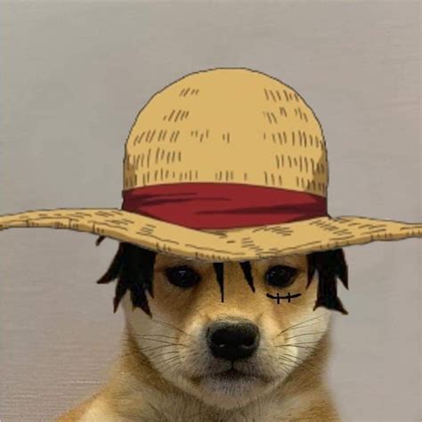 dog with hat meme anime.